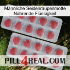 Männliche Seidenraupenmotte Nährende Flüssigkeit 19